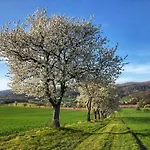 Werrablick Hedemuenden - Gartenbenutzung Mit Grill - Wlan Hannoversch Münden
