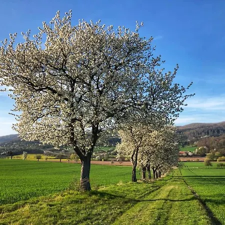 Werrablick Hedemünden - Gartenbenutzung Mit Grill - Wlan Hannoversch Münden