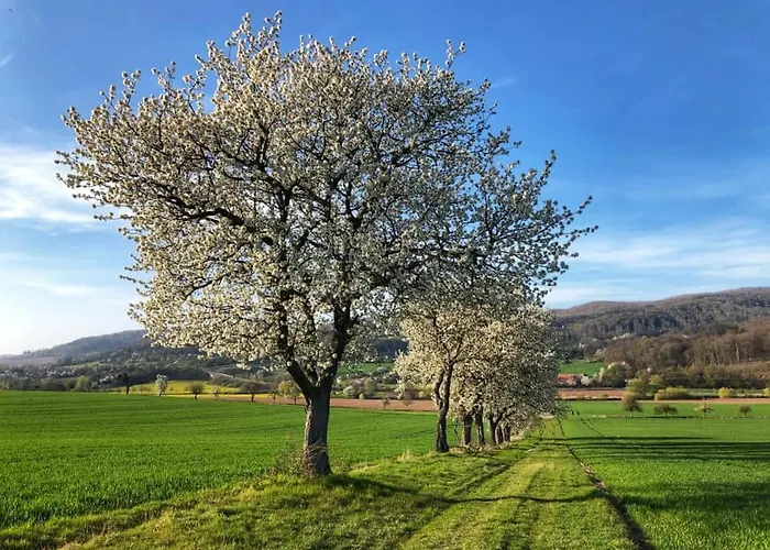 Werrablick Hedemuenden - Gartenbenutzung Mit Grill - Wlan Hannoversch Münden