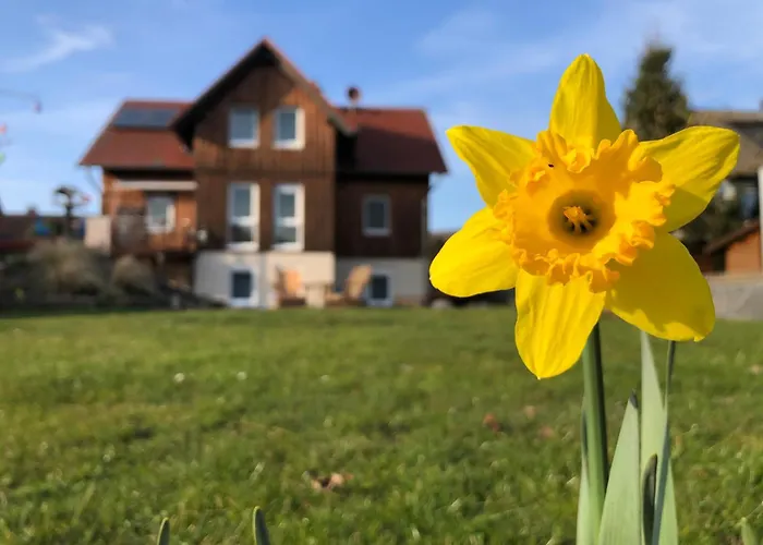 Werrablick Hedemuenden - Gartenbenutzung Mit Grill - Wlan Hannoversch Münden