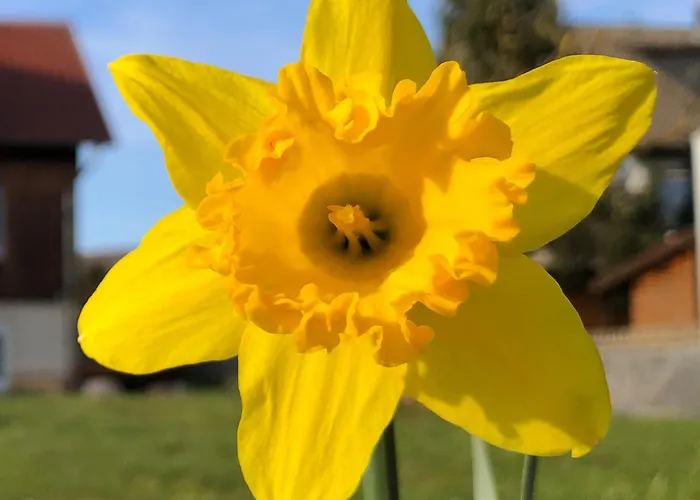 Lägenhet Werrablick Hedemuenden - Gartenbenutzung Mit Grill - Wlan